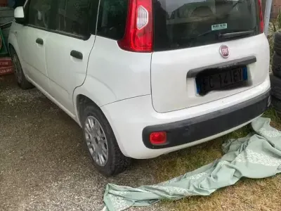 Usata Fiat Panda 54 CV (39 kW) 2010 Bianco Utilitaria