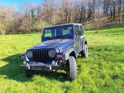 Usata Jeep Wrangler 177 CV (130 kW) 1997 Blu/azzurro SUV