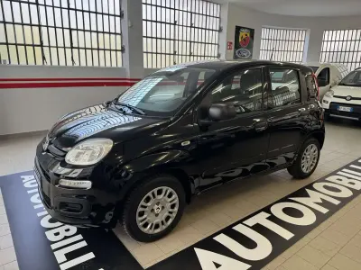Usata Fiat Panda Icon 70 CV (51 kW) 2025 Other Utilitaria