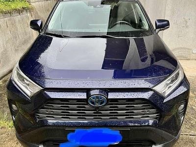 Usata Toyota RAV4 Hybrid Lounge 178 CV (130 kW) 2019 SUV