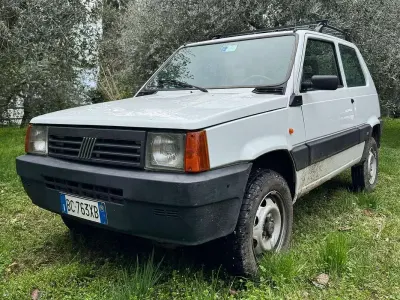 Usata Fiat Panda 4x4 Trekking 54 CV (39 kW) 1999 Bianco Utilitaria