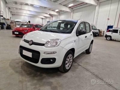 Usata Fiat Panda Easy 70 CV (51 kW) 2019 Bianco Utilitaria
