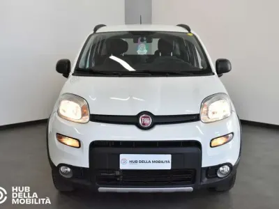 Usata Fiat Panda 4x4 Wild 84 CV (61 kW) 2021 Bianco Utilitaria