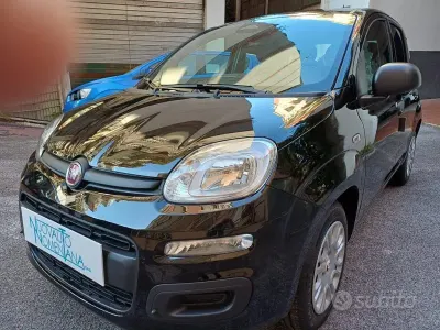 Usata Fiat Panda