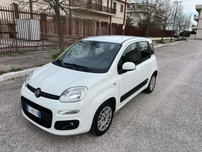 Usata Fiat Panda Easy 95 CV (69 kW) 2017 Bianco Utilitaria