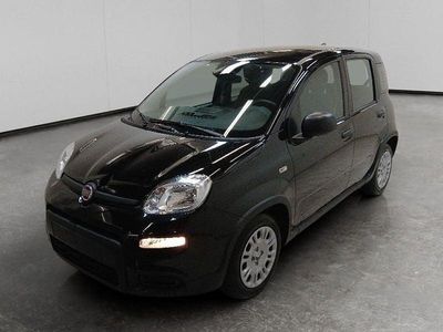 Usata Fiat Panda S 69 CV (50 kW) 2023 Nero Utilitaria