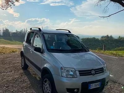 Usado Fiat Panda 4x4 69 HP (50 kW) 2009 Cinzento Citadino