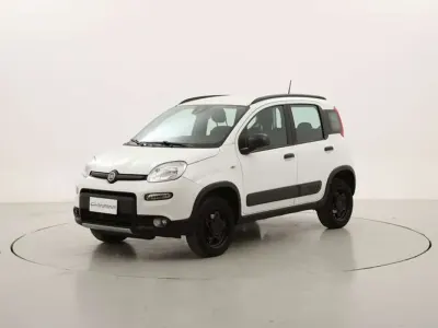 Occasion Fiat Panda 4x4 Wild 86 ch (63 kW) 2022 Blanc Citadine
