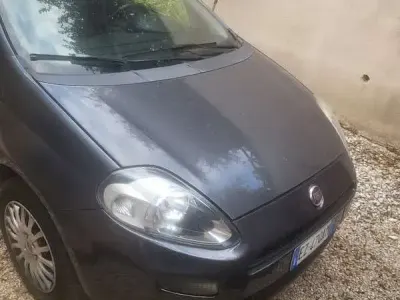 Usata Fiat Punto Lounge 75 CV (55 kW) 2015 Utilitaria