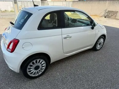 Usata Fiat 500 69 CV (50 kW) 2021 Bianco Berlina