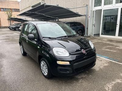 Nuova Fiat Panda S 70 CV (51 kW) 2025 Nero Utilitaria