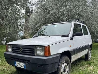 Usata Fiat Panda 4x4 Trekking 54 CV (39 kW) 1999 Utilitaria