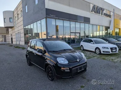 Usata Fiat Panda S 69 CV (50 kW) 2023 Nero Utilitaria