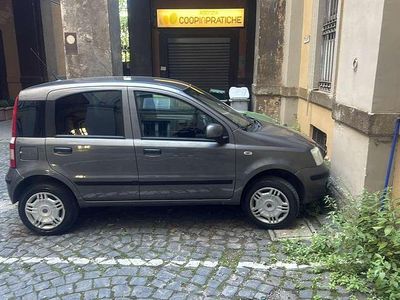 Usata Fiat Panda Cross 60 CV (44 kW) 2010 Utilitaria