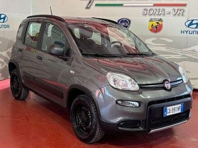 Usata Fiat Panda 4x4 S 84 CV (61 kW) 2020 Grigio Utilitaria
