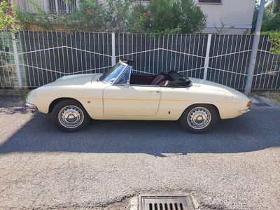 Usata 1966 Alfa Romeo Spider Cabrio | 54.000 €