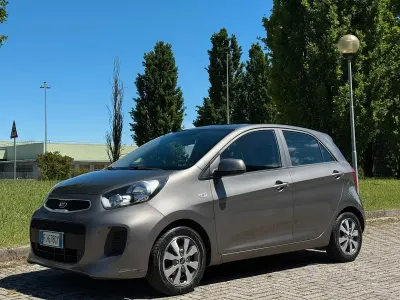 Usata Kia Picanto Active 67 CV (49 kW) 2017 Grigio Utilitaria