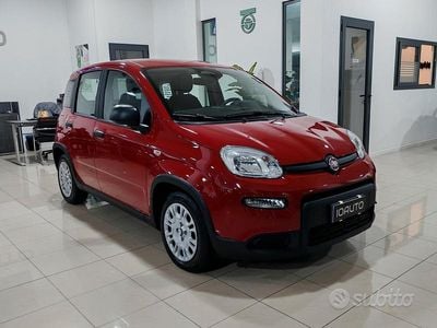 Usata Fiat Panda 70 CV (51 kW) 2024 Rosso Utilitaria