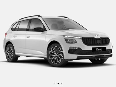 usata Skoda Kamiq 1.0 tsi black dots 115cv dsg