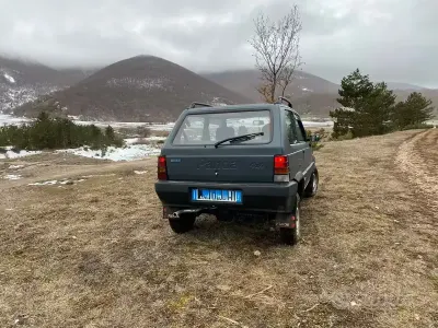 Usata Fiat Panda 4x4 Climbing 54 CV (39 kW) 2002 Utilitaria