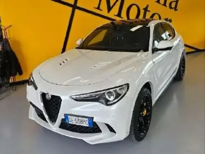 Usata Alfa Romeo Stelvio Quadrifoglio 510 CV (375 kW) 2021 Bianco SUV