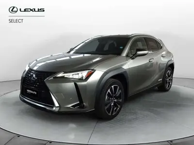 Usata Lexus UX 184 CV (135 kW) 2020 Grigio SUV