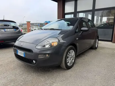 Usata Fiat Punto Lounge 69 CV (50 kW) 2016 Grigio Utilitaria