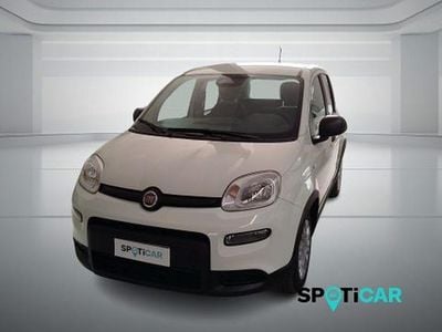 Usata Fiat Panda S 70 CV (51 kW) 2025 Bianco gelato Utilitaria