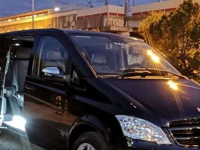 Mercedes Viano