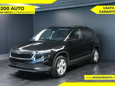 Usata Skoda Karoq