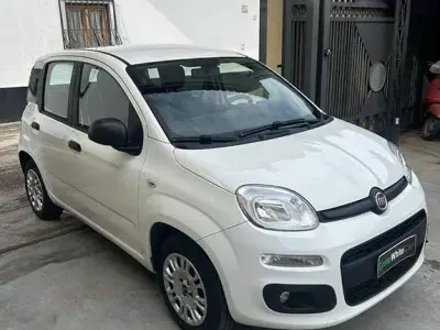 Usata Fiat Panda 69 CV (50 kW) 2019 Bianco Utilitaria