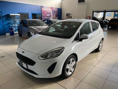 usata Ford Fiesta 1.1 75 CV GPL 5 porte Connect