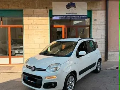 Usata Fiat Panda Lounge 95 CV (69 kW) 2016 Bianco Utilitaria