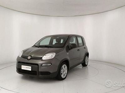 Usata Fiat Panda S 69 CV (50 kW) 2023 Grigio Utilitaria