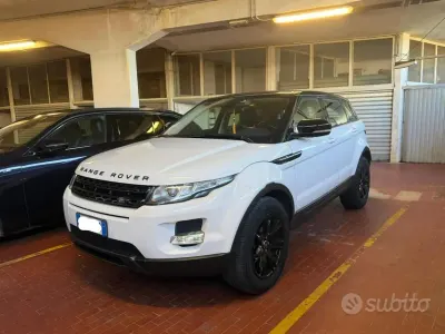 Usata Land Rover Range Rover evoque 150 CV (110 kW) 2013 Bianco SUV