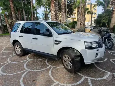 Usata Land Rover Freelander 2 S 150 CV (110 kW) 2014 Bianco SUV