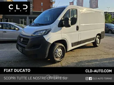 Occasion Fiat Ducato 120 ch (88 kW) 2020 Blanc Van