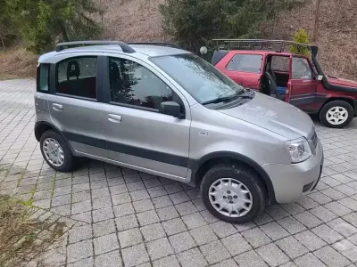 Usata Fiat Panda 4x4 Climbing 60 CV (44 kW) 2005 Grigio Utilitaria