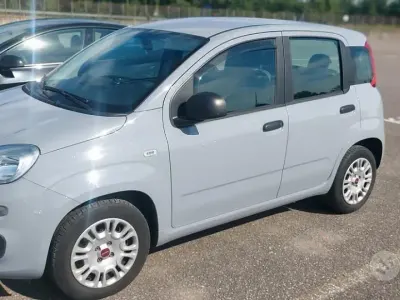 Usata Fiat Panda Connect 69 CV (50 kW) 2019 Grigio Utilitaria