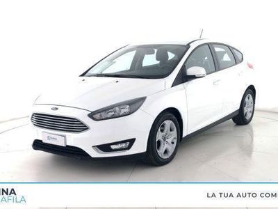 usata Ford Focus 1.5 EcoBlue 95 CV 5p. usato