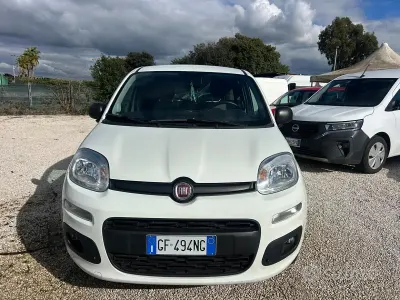 Occasion Fiat Panda Pop 80 ch (58 kW) 2021 Blanc Citadine