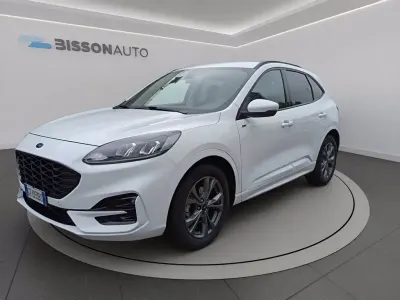Usata Ford Kuga ST-Line 120 CV (88 kW) 2024 Bianco frozen SUV