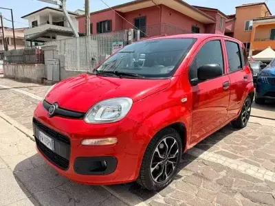 Usata Fiat Panda Pop 69 CV (50 kW) 2019 Rosso Utilitaria