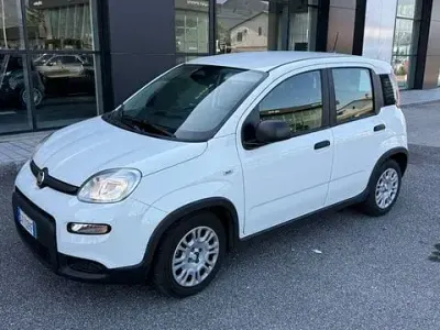 Usata Fiat Panda 70 CV (51 kW) 2024 Bianco Utilitaria