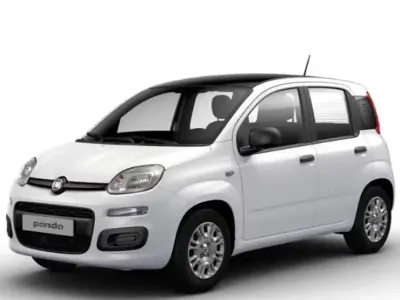 Nuova Fiat Panda Icon 70 CV (51 kW) 2025 Bianco Utilitaria