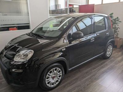 Usata Fiat Panda S 69 CV (50 kW) 2023 Nero Utilitaria