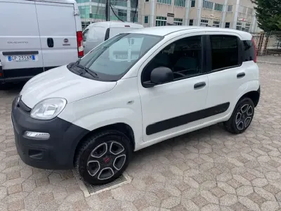 Usata Fiat Panda 4x4