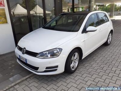 usata VW Golf VII Golf Business 1.4 TGI DSG 5p. Highline BlueMotion