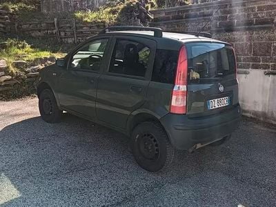 Usata Fiat Panda 4x4 69 CV (50 kW) 2009 Verde Utilitaria