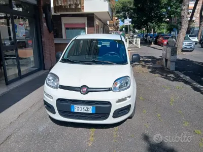 Usata Fiat Panda Easy 69 CV (50 kW) 2019 Bianco Utilitaria